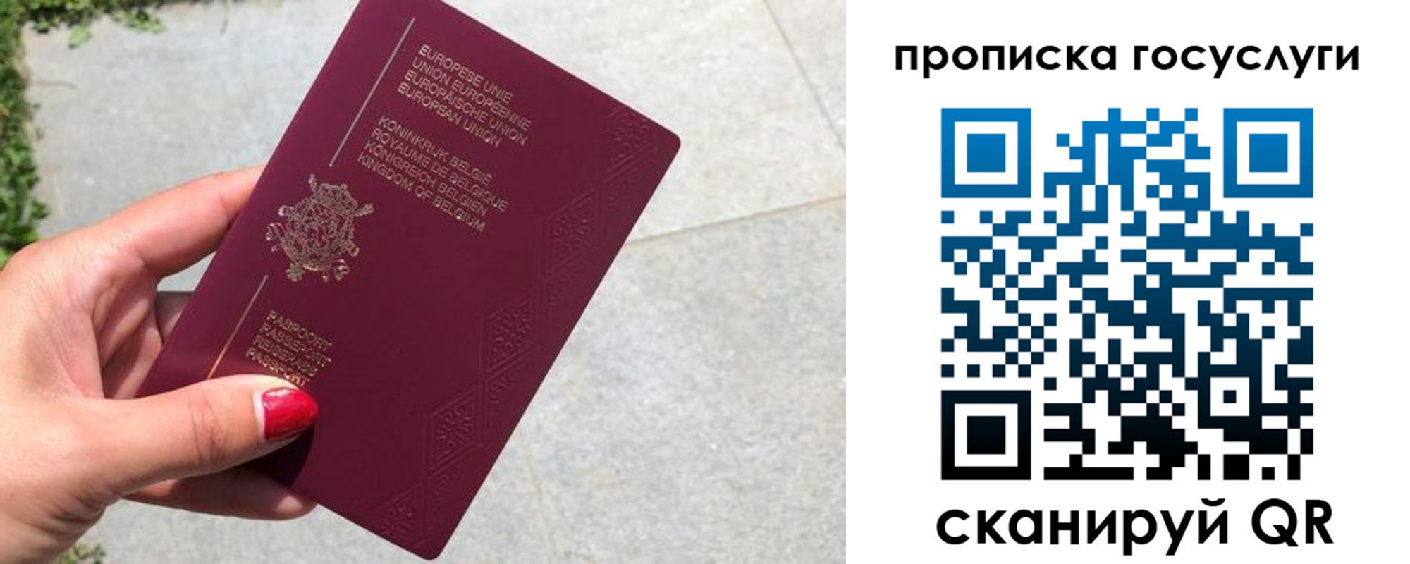 временная регистрация для школы в Вышнем Волочке
