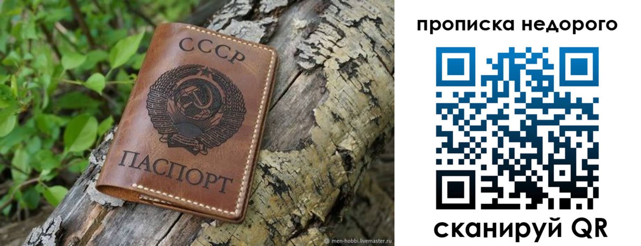 где прописаться в Вышнем Волочке
